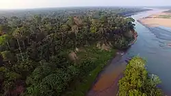 Aerial view of the Colorado Clay Lick in Tambopata, Peru.