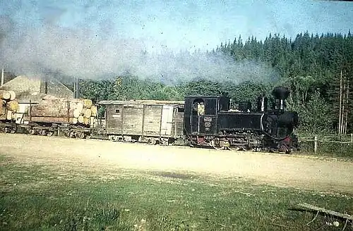 Steam-powered logging train in Comandău, Romania