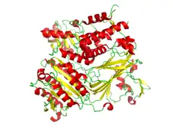 Conformation of the CopII protein that is complexed with the snare protein Sed5 (PDB: 1PD0).