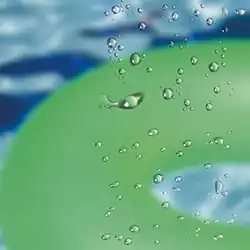 South Korean version cover[1]