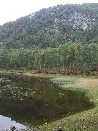 Lochan and woodland at Craigellachie
