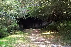 Cave del Valle