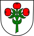 Coat of arms of Schwarzach