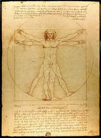 Proportion: Leonardo's Vitruvian Man, c. 1490