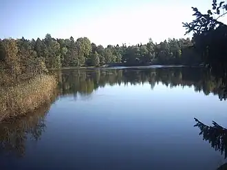 The lake