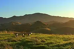 A view at dawn of a mountain peak and rolling hills covered in grass and trees