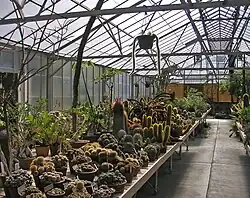 The greenhouse