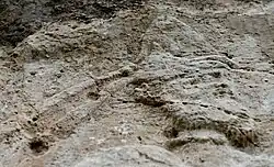 Detail of the rock-relief at Rabana-Merquly