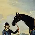 Detail of the Duke of Bolton's Syphax, black colt, foaled 1727, by Bay Bolton out of Golden Locks got by Mostyn’s Grasshopper her dam by Lord Bristol’s Hog, 25 x 30 inches, by Richard Roper, 1734.