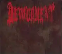 The band's logo over a field of splotchy dark brown and gray.