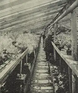 Two women watering rows of plants in a greenhouse.