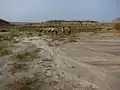 Dinosaur Provincial Park