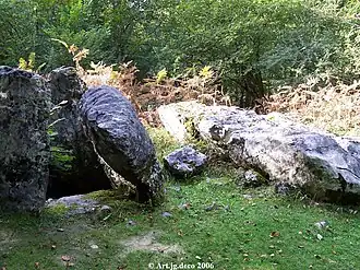 Dolmen in the Arbailles Forest
