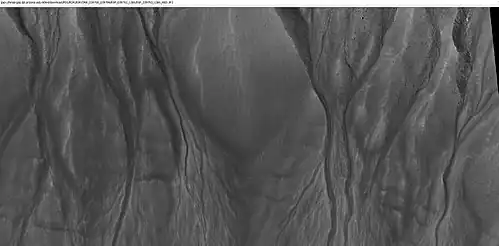 Close-up of channels in gullies showing that the paths of the channels changed over time. This feature suggest formation by running water with a high load of sediment. Picture was taken with HiRISE under HiWish program. Location is the Mare Acidalium quadrangle. Note this is an enlargement of a previous image in Phaethontis quadrangle.