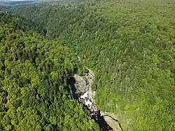 A photograph of a river and a waterfall, running through a deep V-shaped valley surrounded by a forest. The higher elevations feature hardwoods, while the valley sides have softwoods.