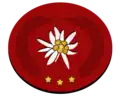 Rank insignia in the Swiss postal service.