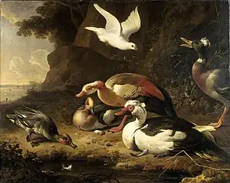 Ducks (ca. 1675-80), oil on canvas, 93 x 116&nbsp;cm., Rijksmuseum
