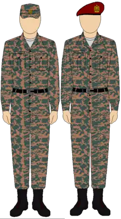 Egyptian Army Thunderbolt camouflage uniform