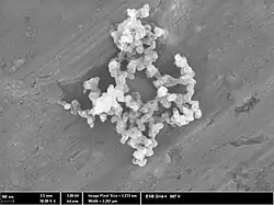 Electroconductive carbon black – Structure 3