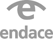Endace logo