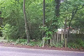 Entrance to the ruins behind the Hogsmill Tavern