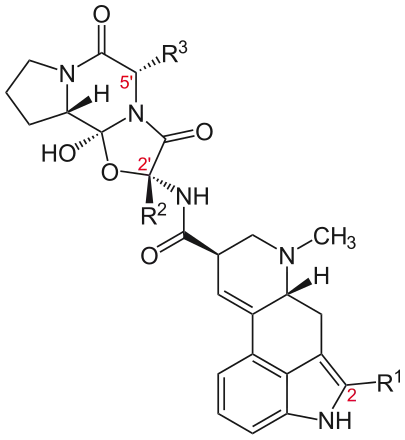 Ergopeptides (structural formula)