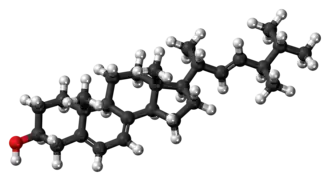 Ball-and-stick model of ergosterol