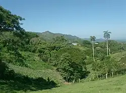 Escambray near Hanabanilla lake in Villa Clara Province