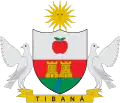 Official seal of Tibaná