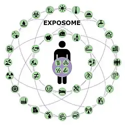 Exposome