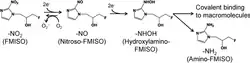 Chemical changes involved in the reduction and accumulation of FMISO in hypoxic tissue regions