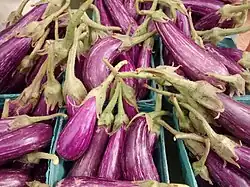 Eggplant (Ilo: Tarong or Tlg: Talong)