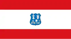 Flag of Asunción