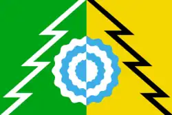 Flag of Belokholunitsky District