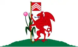 Flag of Cardiff, Wales, United Kingdom