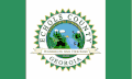 Flag of Echols County