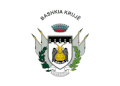Flag of Krujë