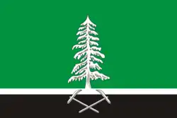 Flag of Nelidovsky District