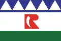 Flag of Rincon