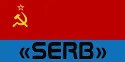 Flag of the SERB (Russia)