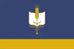 Flag of Sterlibashevsky District