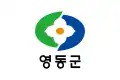 Flag of Yeongdong
