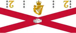 Flag of the Royal College of Surgeons in Ireland