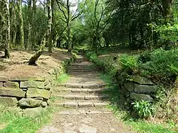 York Stone steps and Rockery
