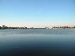 Looking across Meadow Lake