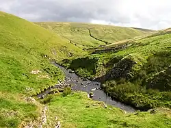 Usway Burn junction with Clay Burn (left). Sheepfold and Yarnspath Law in background