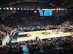 France vs Tunisia, le 31 juillet 2023. Seated in the front row: Boris Diaw, Tony Parker and Florent Pietrus.