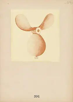 Francis Picabia, Âne (English: Donkey), 391, July 1917