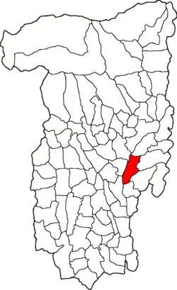 Location in Vâlcea County