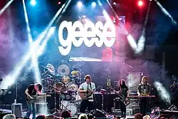 Geese performing live in 2024